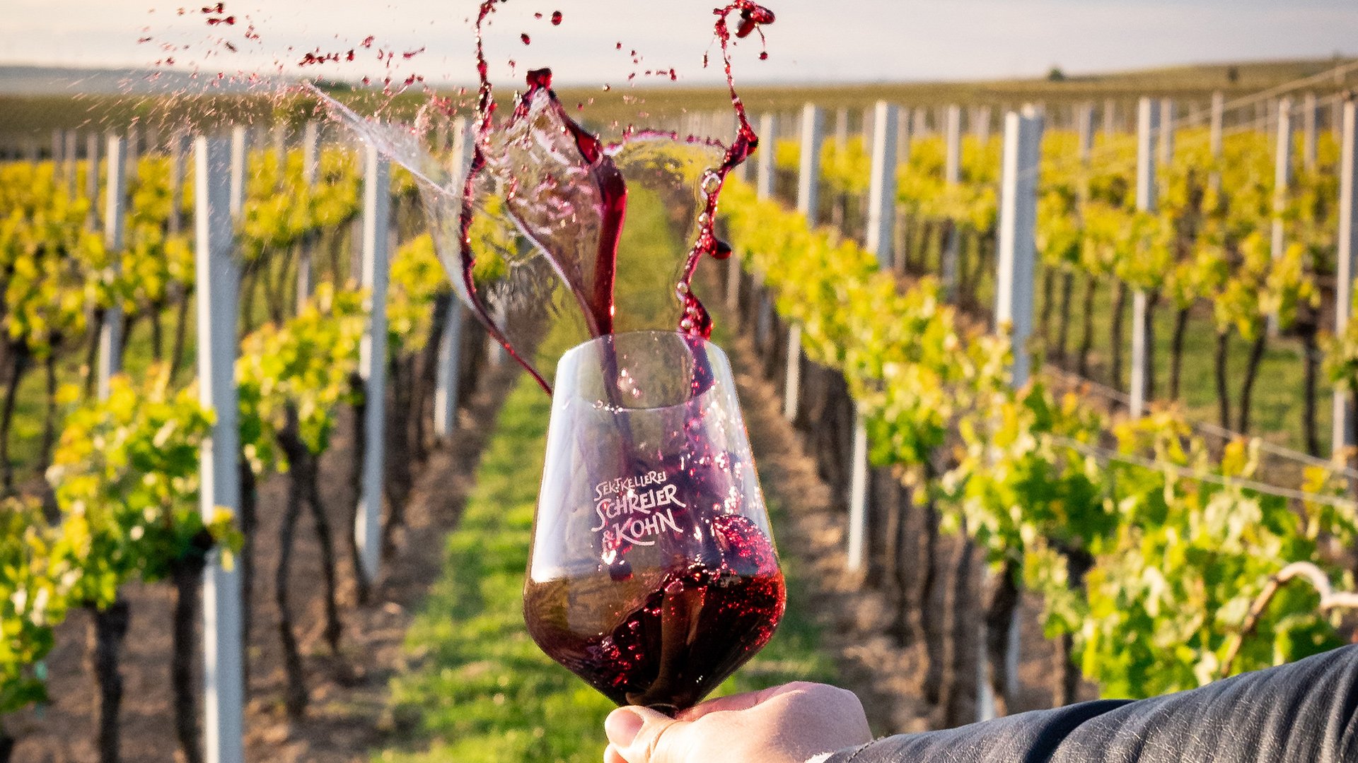 Startseite Wein Spritzer